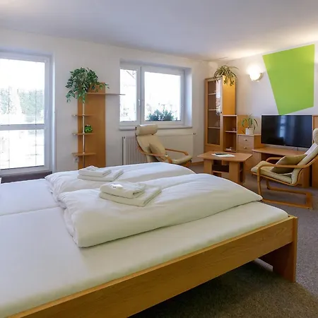 Kraus 4*