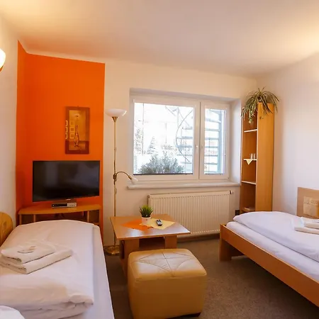 Kraus 4*