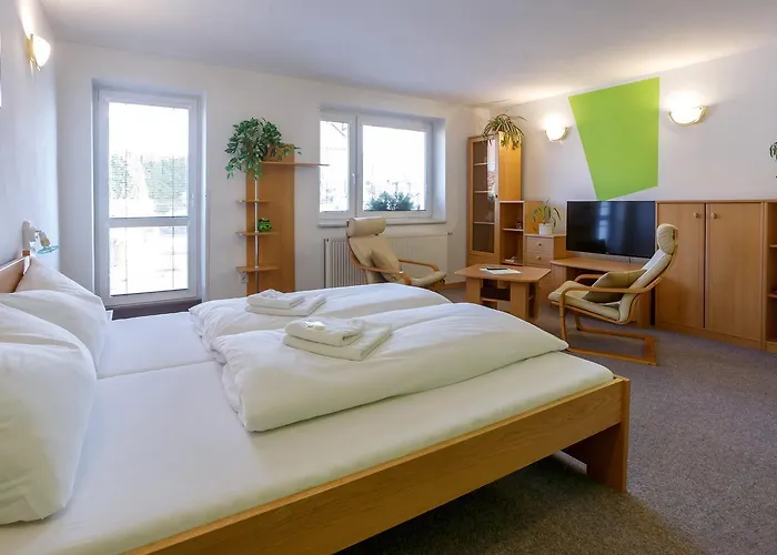 Kraus 4*