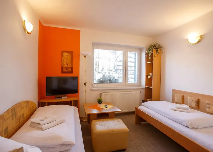 Kraus 4*
